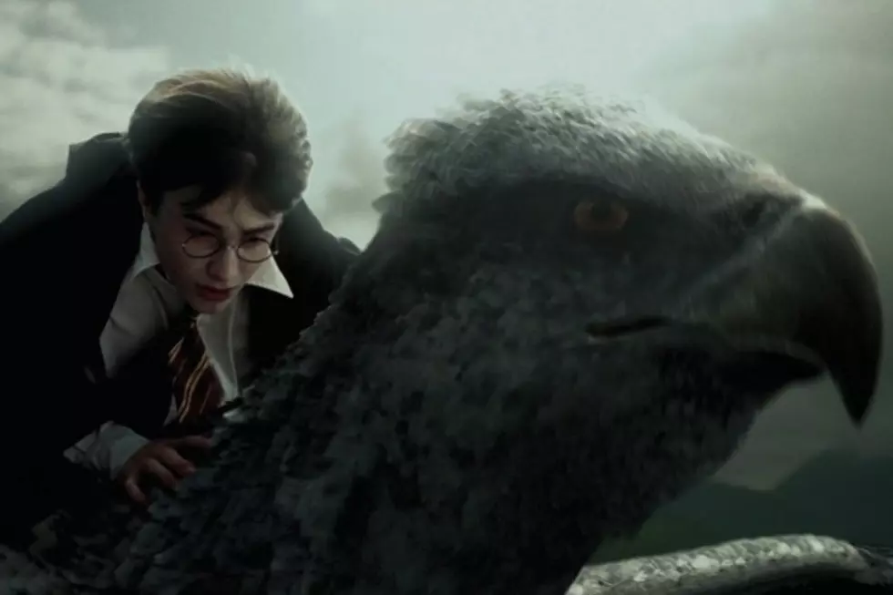 Harry Potter Spinoff &#8216;Fantastic Beasts and Where to Find Them&#8217; Will Be a Trilogy, Release Dates Announced