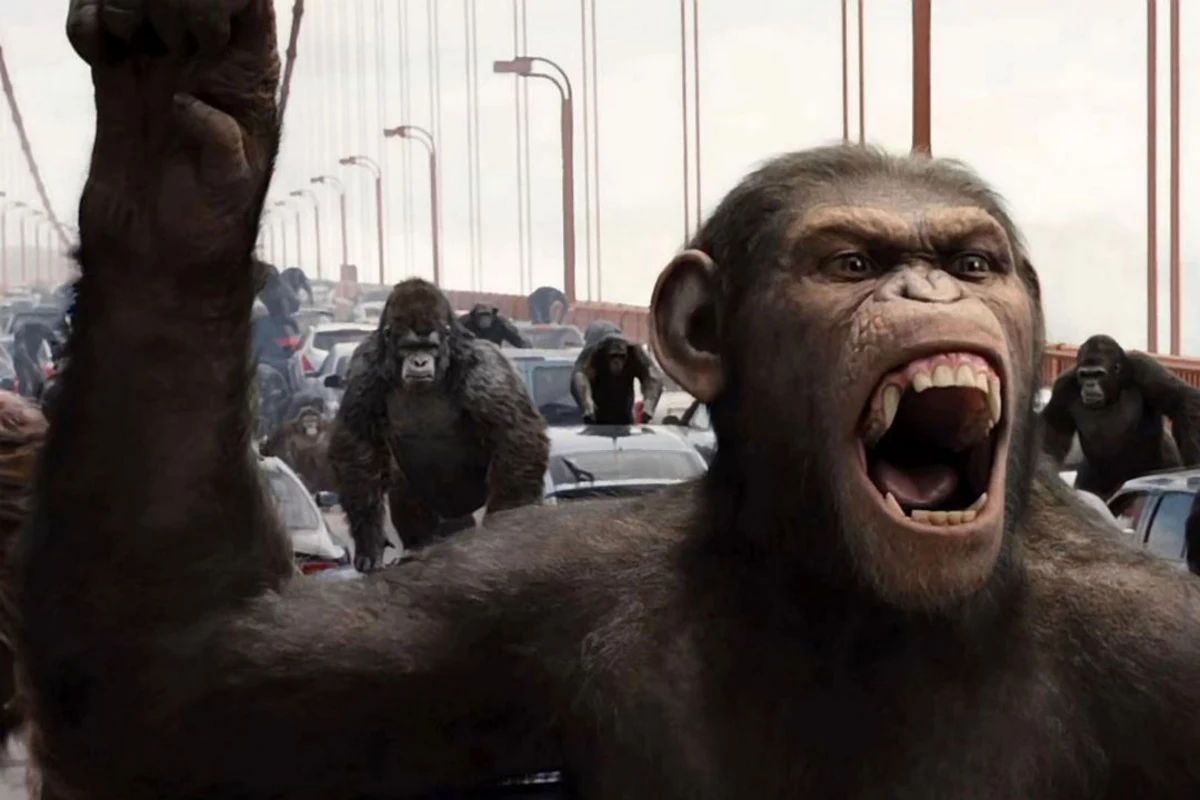 Caesar and his fellow apes on the Golden Gate Bridge