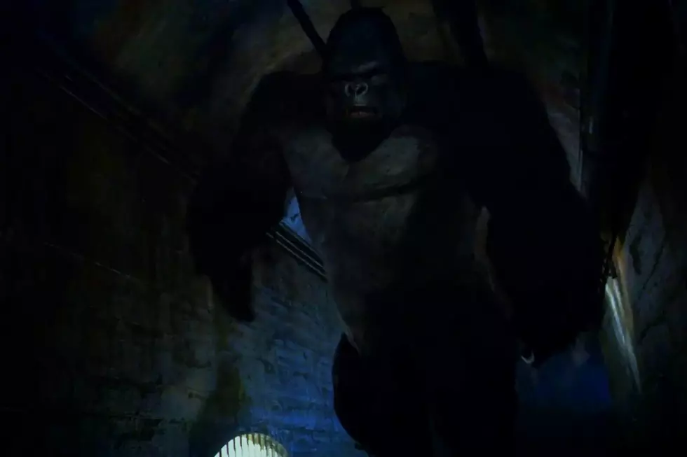'The Flash' Gorilla Grodd Scene From "Fallout"
