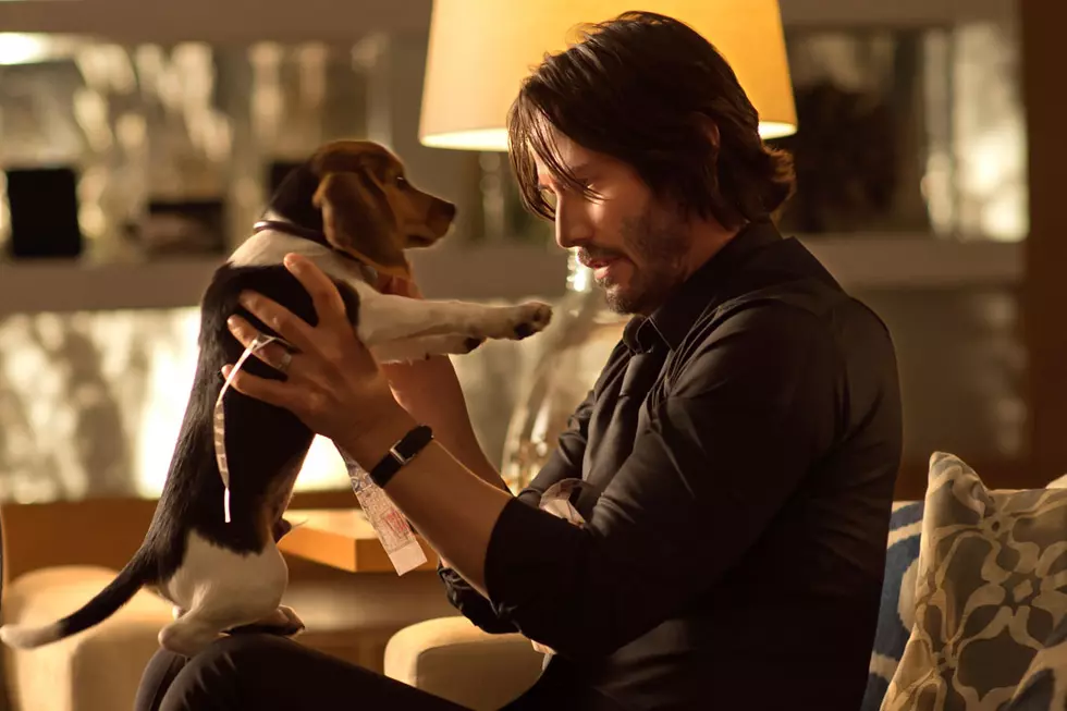Lionsgate Announces ‘John Wick: Chapter Two’ Release Date