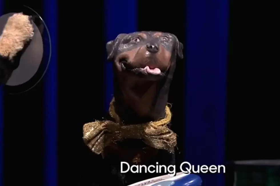 Watch Triumph the Insult Comic Dog Attempt to Play ‘Tonight Show’ Catchphrase