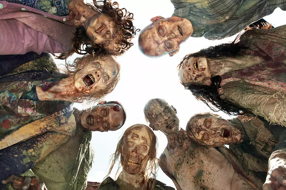 ‘The Walking Dead’ Spinoff Gets Two Season Order at AMC, Summer 2015 Premiere