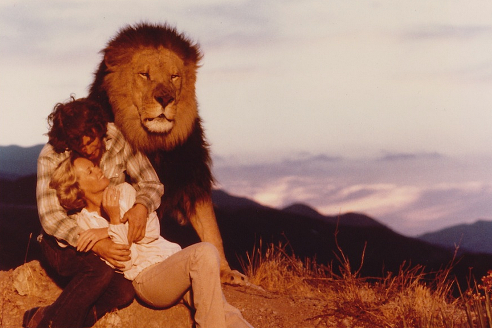 Why ‘Roar’ Is the One of the Craziest, Most Misguided Movies Ever
