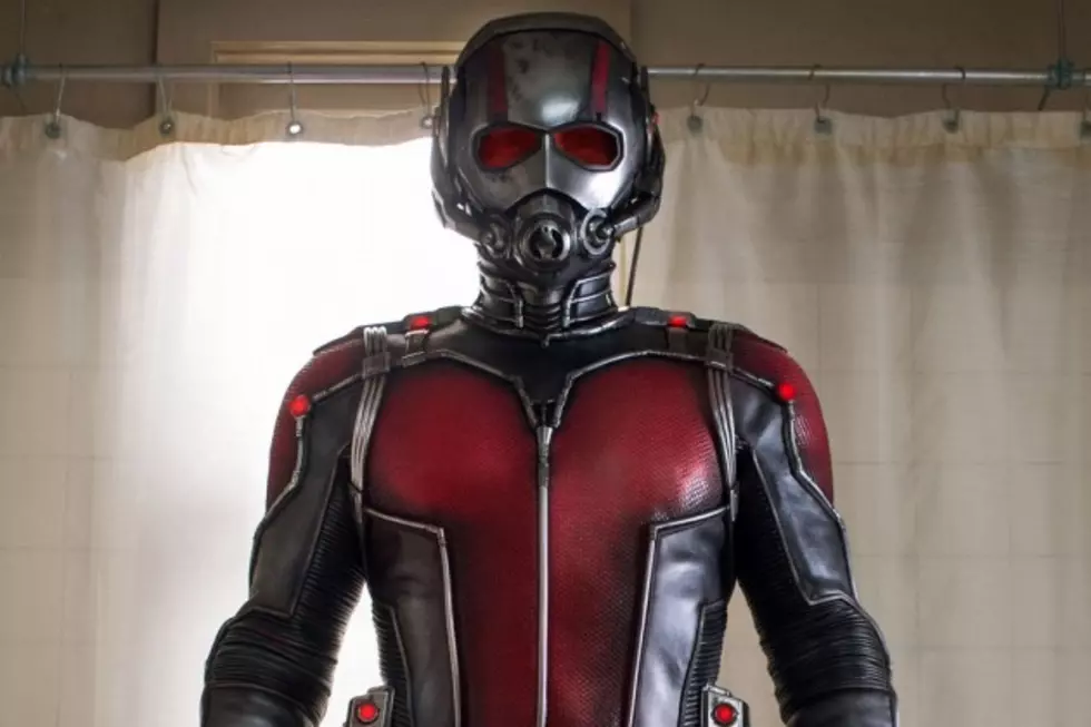 ‘Ant-Man’ TV Spot: Paul Rudd Gets a Punching Lesson From Evangeline Lilly