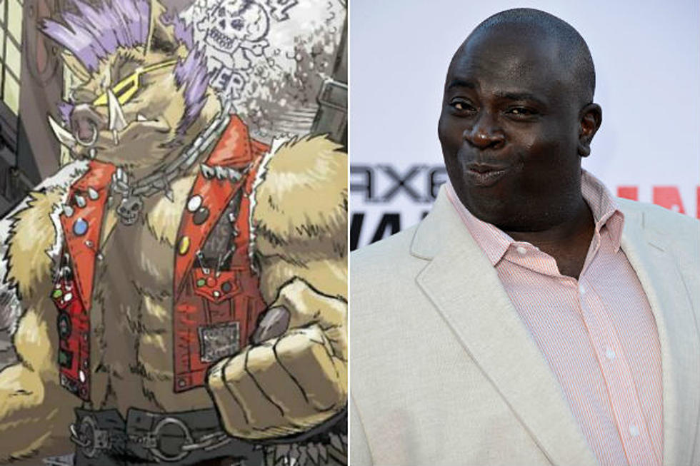 ‘Teenage Mutant Ninja Turtles 2’ Picks Up a Bebop, Will Probably Find a Rocksteady Soon