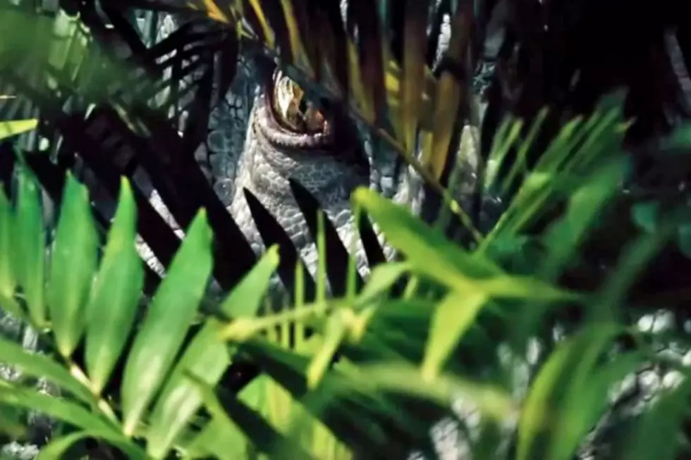 ‘Jurassic World’ Spot Reveals Explosive Dino Action and What Happens When Raptors Attack