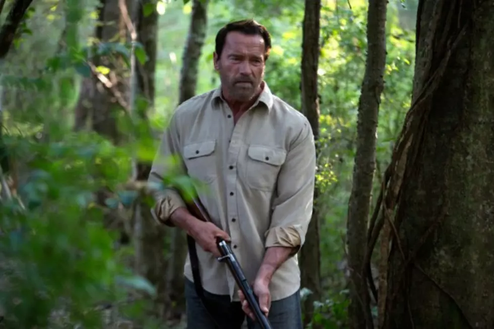 Arnold Schwarzenegger Will Have His Revenge in ‘478’