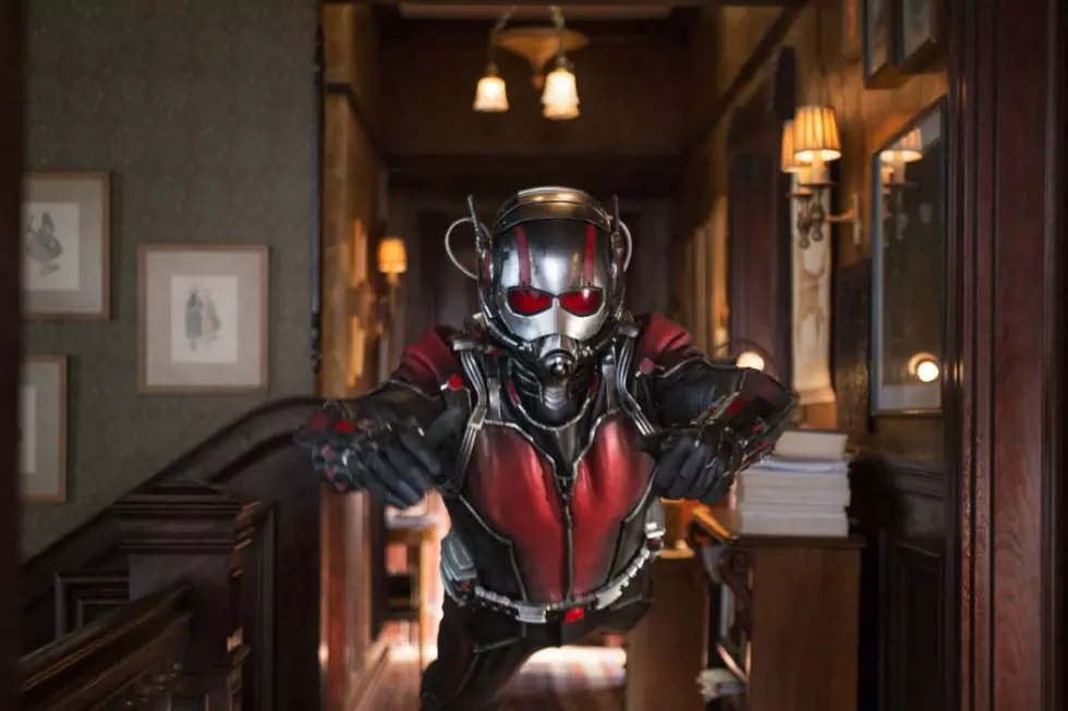 Rumor: Marvel’s ‘Ant-Man’ Will Lay the Groundwork For the New Spider-Man