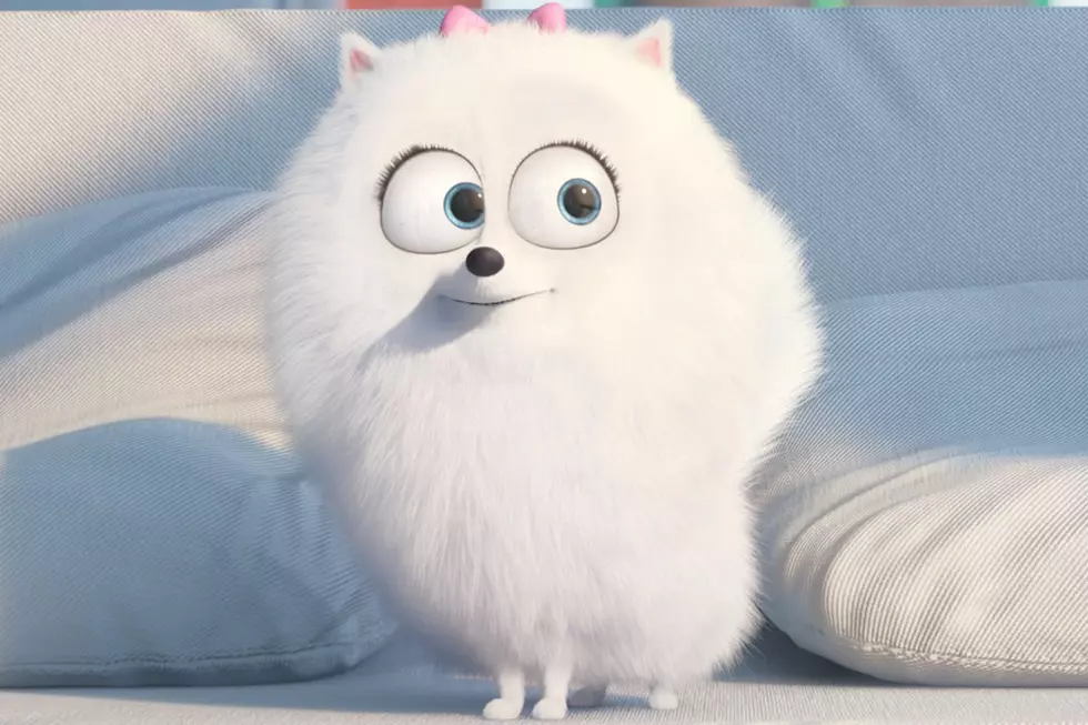 ‘The Secret Life of Pets’ Has the Cutest Trailer