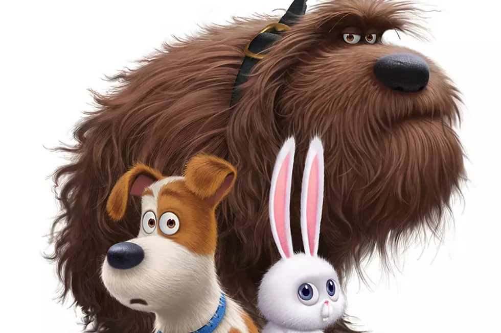 Secret Life of Pets 2 and Why You&#8217;ll Want to Stay for the Credits