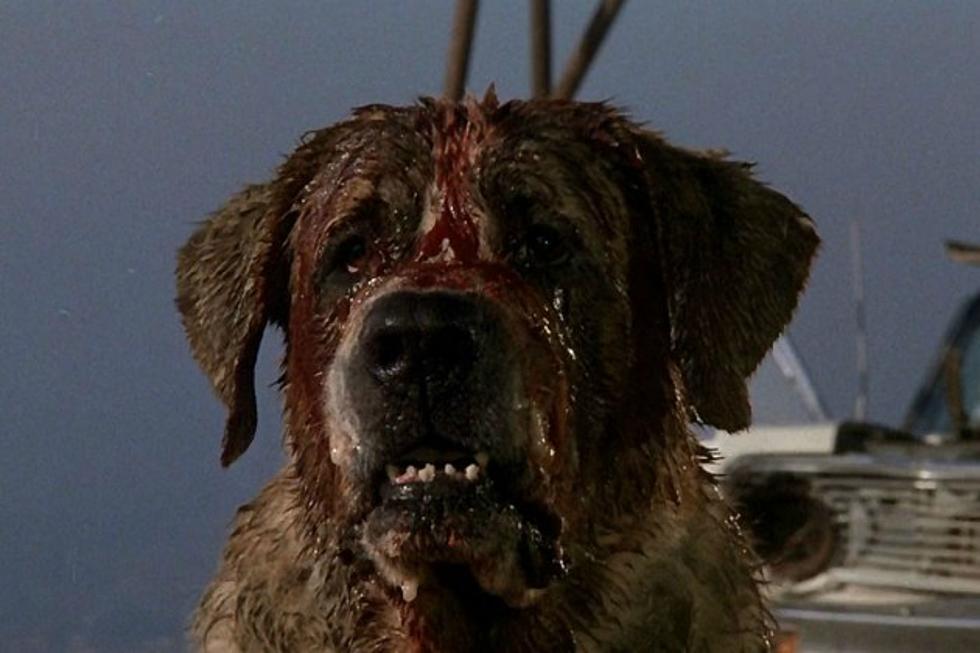 This ‘Cujo’ Remake Sounds Nothing Like Stephen King’s ‘Cujo’ at All