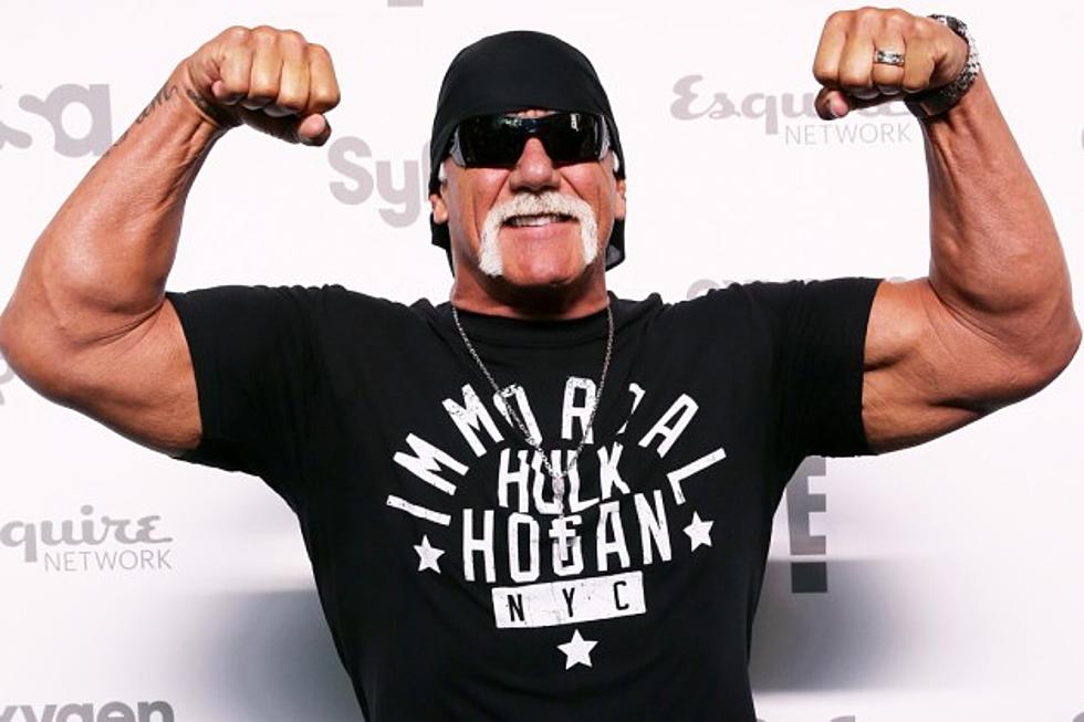 WWE’s ‘Tough Enough’ to Replace Hulk Hogan After Racist Remarks
