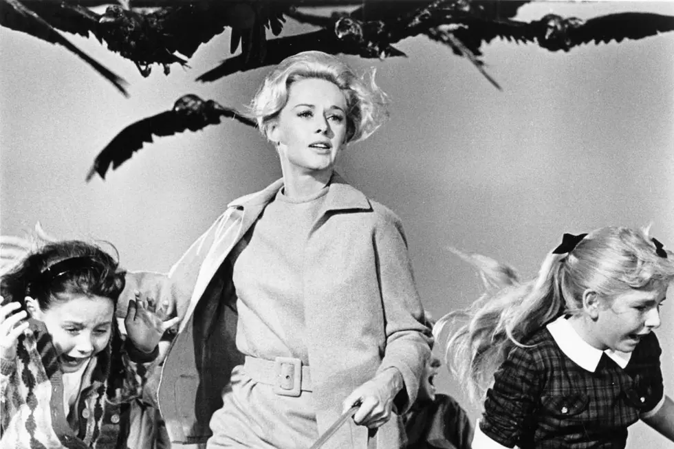 'The Birds' Remake Scares Up a Director