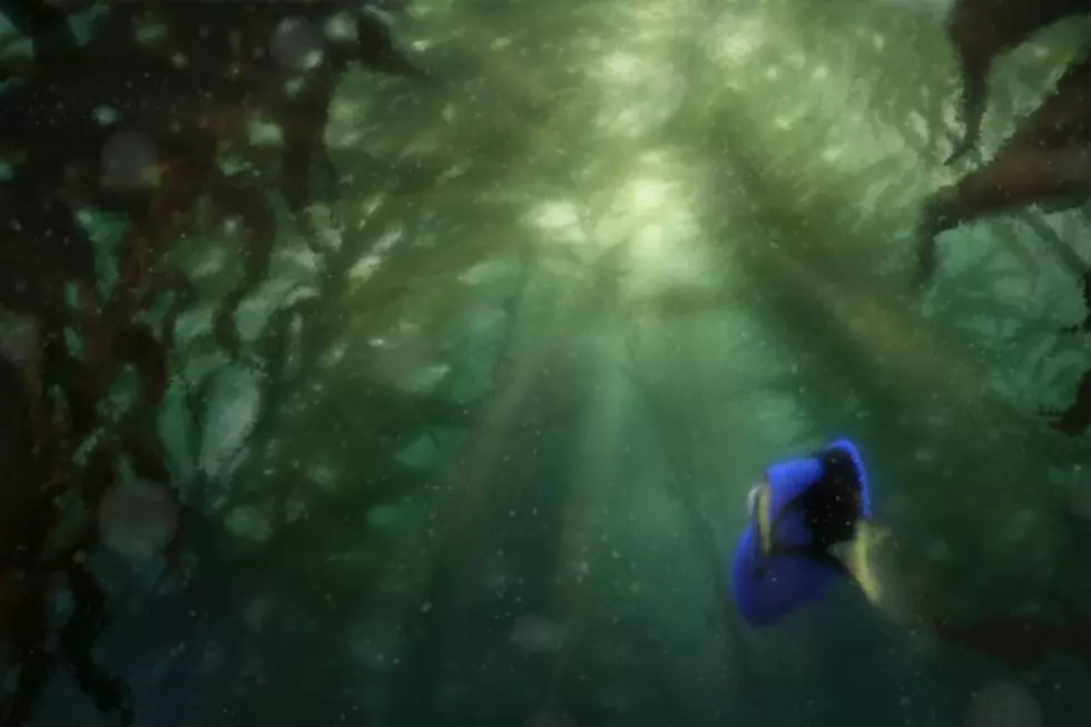 ‘Finding Dory’ Reveals New Plot Details, Plus First Look at Ed O’Neill’s Octopus Character