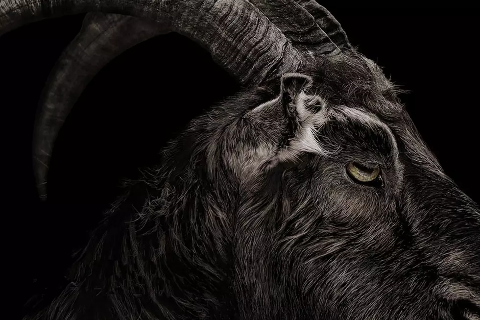 ‘The Witch’ Trailer: Beware of Colonial Indie Horror