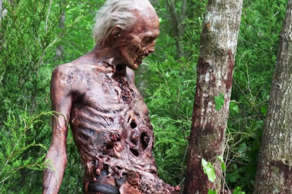 ‘The Walking Dead’ Season 6 Will Start Decaying Walkers Digitally