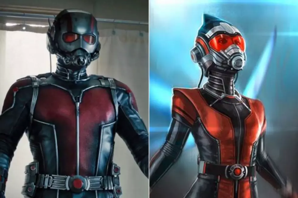 Wasp to Co-Star in ‘Ant-Man 2‘ as Marvel Pushes &#8216;Black Panther&#8217; Forward, Rolls &#8216;Captain Marvel&#8217; Back (Again)