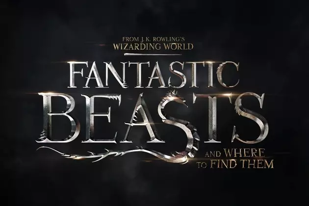Eddie Redmayne Explains Approach to ‘Fantastic Beasts’ Sequel Titles