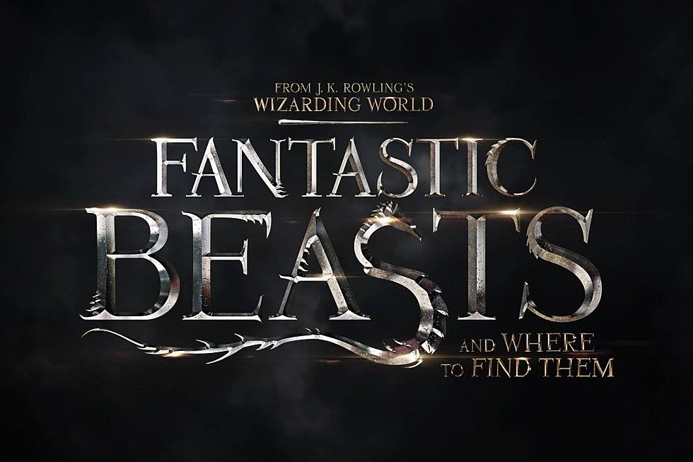 ‘Fantastic Beasts’ Reveals Some of the Creatures We’ll Meet