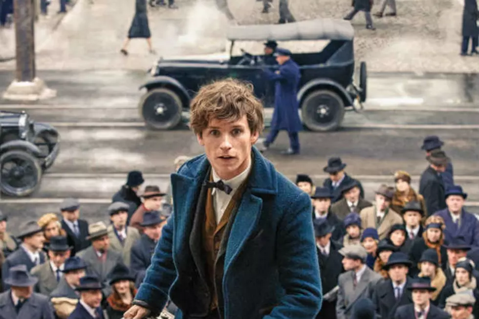 ‘Fantastic Beasts and Where to Find Them’ Summons Another New Photo