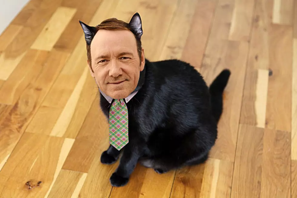 ‘Nine Lives’ Trailer: Kevin Spacey Turns Into a Cat, and No This Is Not a Joke