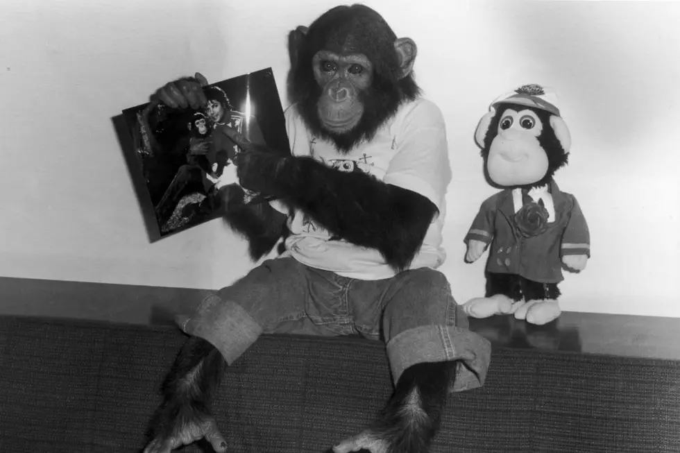 Dan Harmon Producing ‘Bubbles’ Animated Film About Michael Jackson’s Pet Chimp