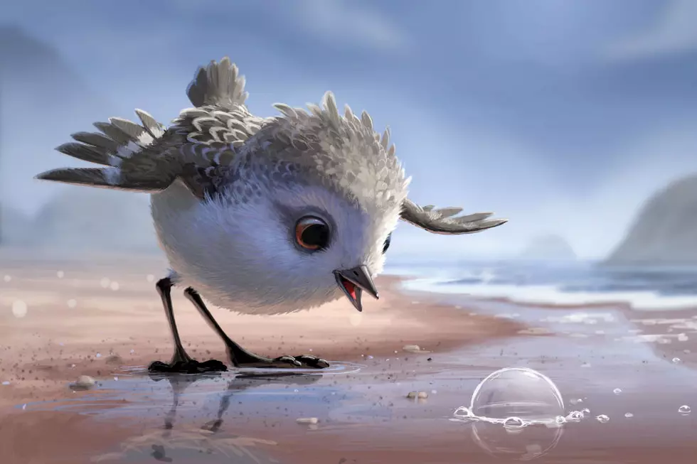First Look at ‘Piper’ Promises Another Unbearably Adorable Pixar Short