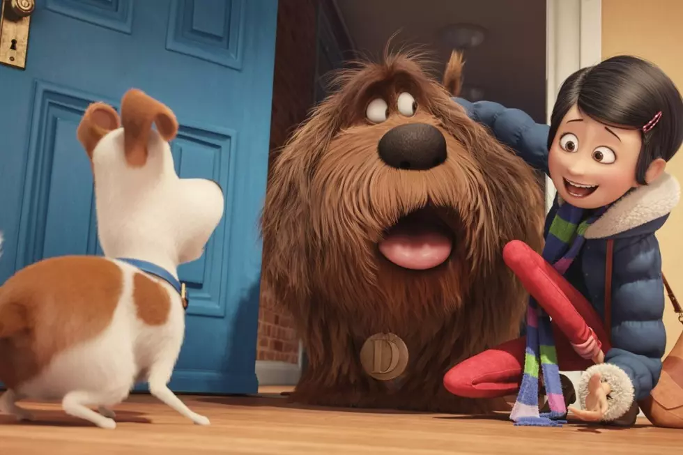 Latest ‘Secret Life of Pets’ Trailer Feels a Lot Like ‘Toy Story’ But With Animals