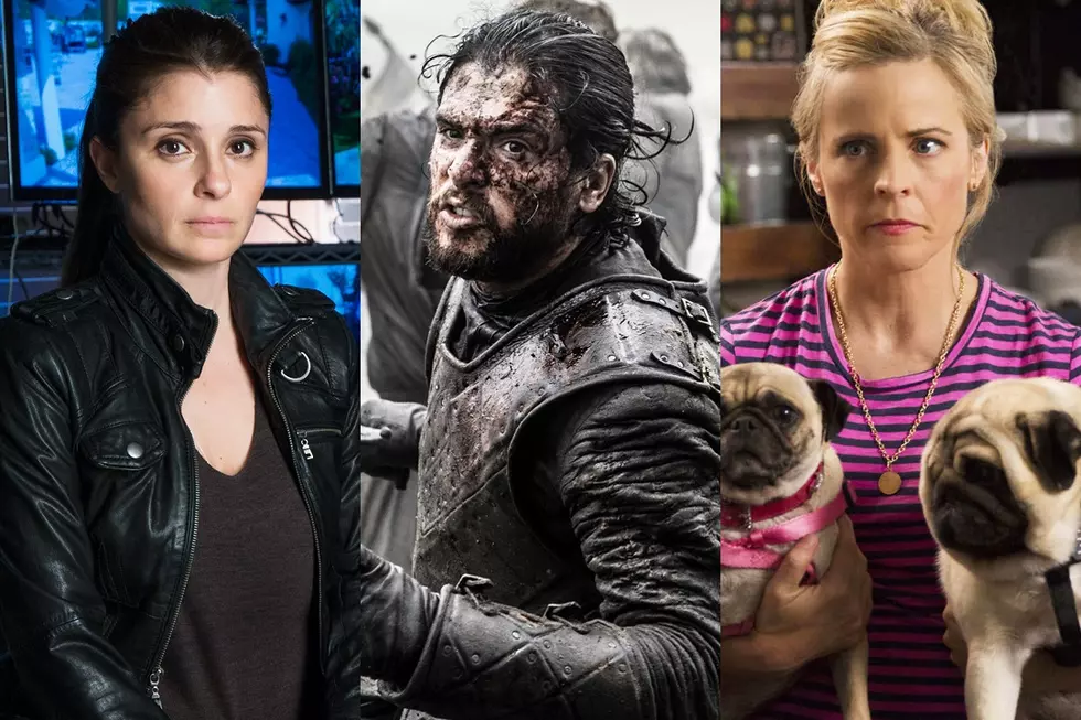 The 10 Best TV Shows of 2016 (So Far)