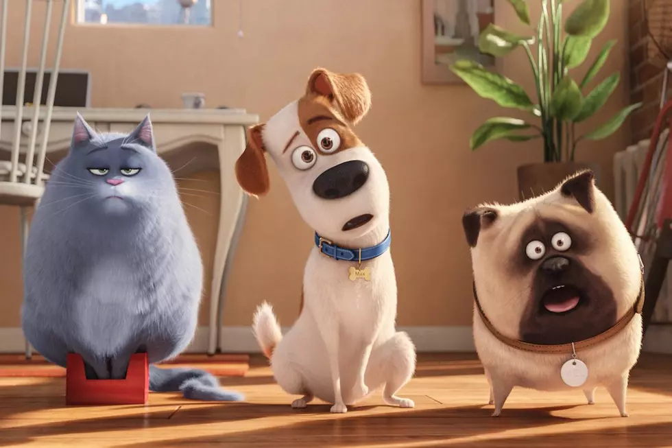 ‘The Secret Life of Pets’ Review: Dogs and Cats Talking Together, Mass Hysteria