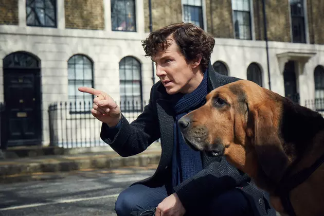 ‘Sherlock’ Hounds Some New Blood in First Season 4 Photo