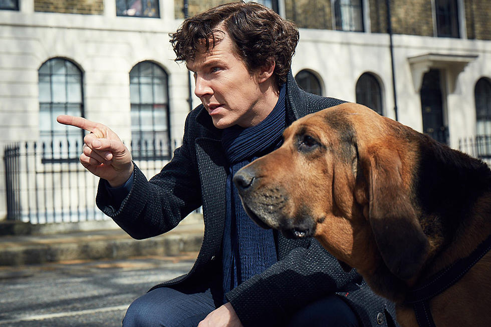 ‘Sherlock’ Hounds Some New Blood in First Season 4 Photo