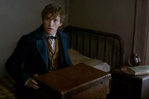 Weekend Box Office Report: ‘Fantastic Beasts’ Finds Itself in First Place