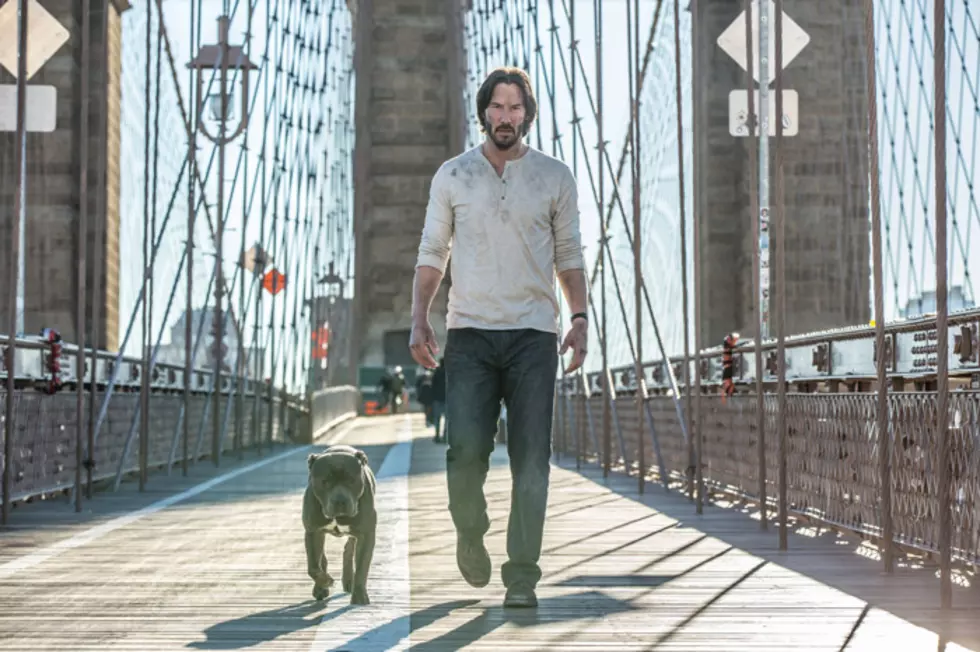 ‘John Wick 3’ Already in the Works Because John Wick Really Is Bad at Retiring