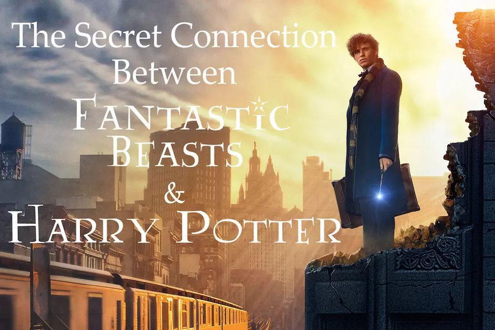 ‘Fantastic Beasts’ Fan Theory Solves Unanswered ‘Harry Potter’ Questions 