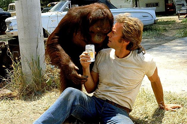 ‘Every Which Way But Loose,’ a.k.a. Clint Eastwood’s Orangutan Movie, Getting a Remake