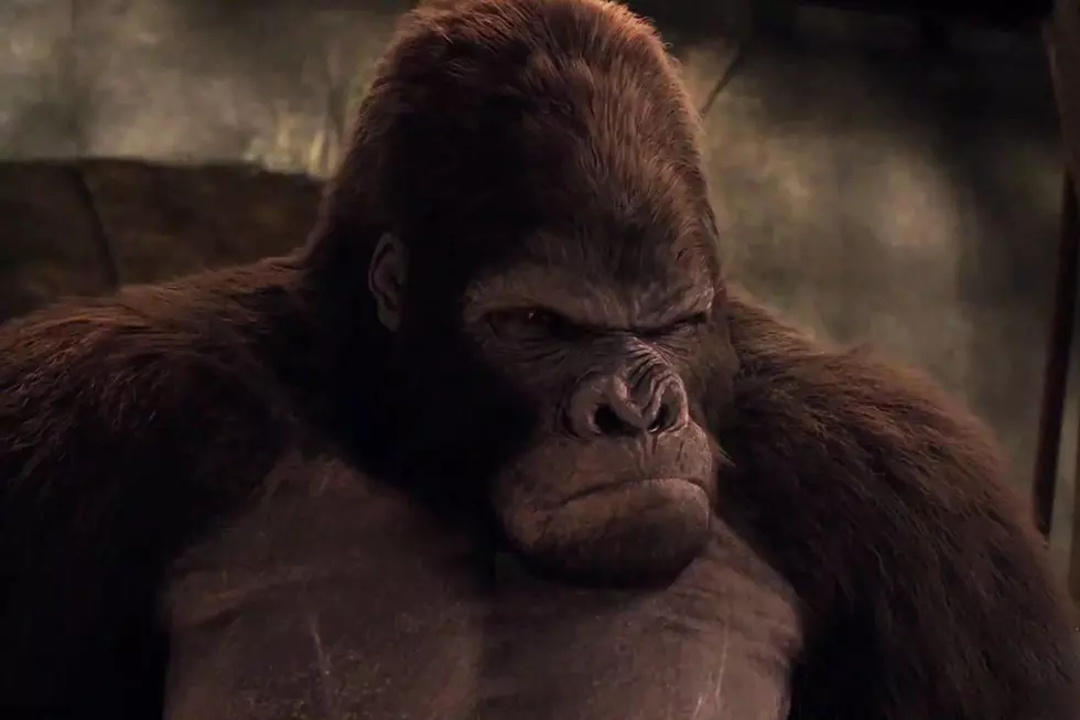 ‘Flash’ Does Plan on Having Gorillas in Its ‘Gorilla City’ Trailer, Right?