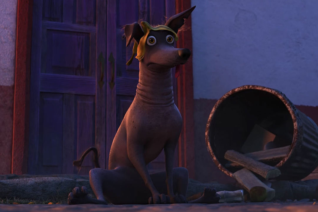 dog in coco the movie