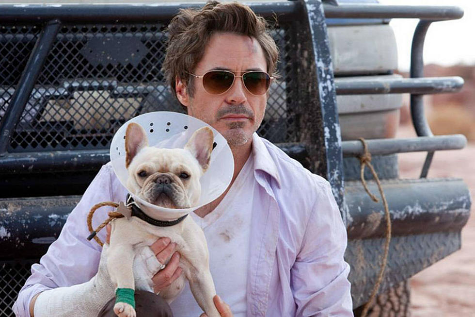 Robert Downey Jr. to Take ‘The Voyage of Doctor Dolittle’