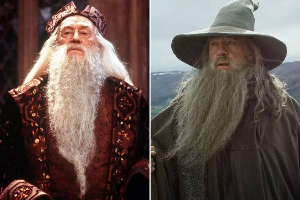 Ian McKellen Could Have Played Dumbledore, but Turned the Role Down Because of Richard Harris