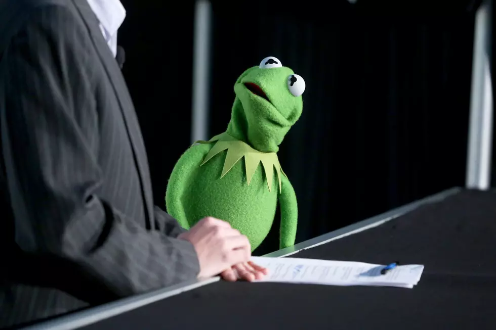 Watch the Debut of the New Kermit the Frog