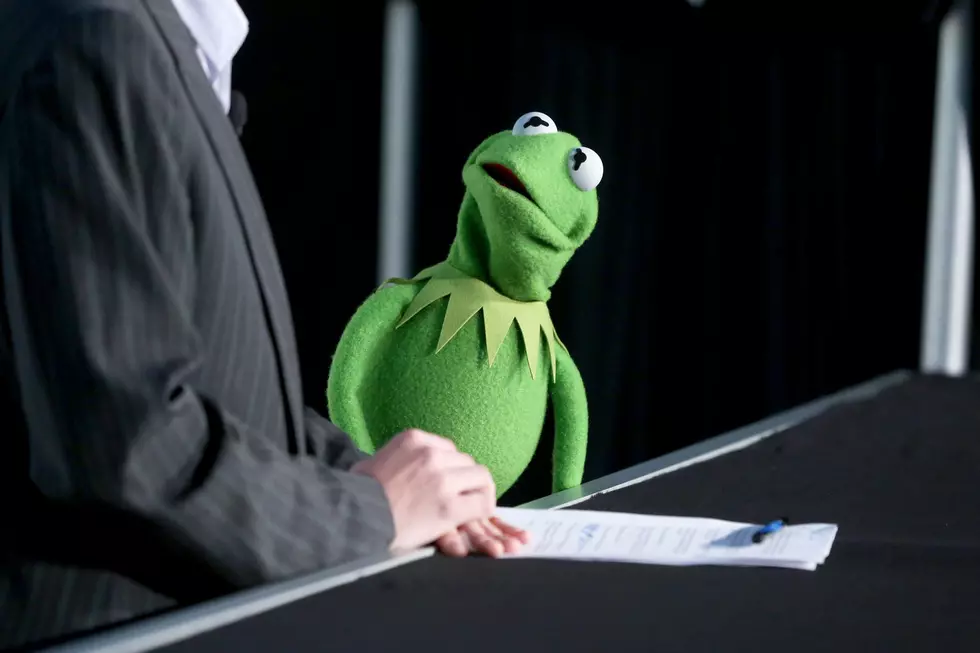 'Muppets' Kermit Star Steve Whitmire Replaced After 27 Years