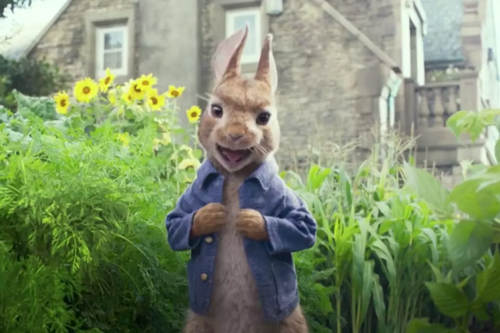 Animals Throw a Party in Domhnall Gleeson’s House in First ‘Peter Rabbit’ Trailer