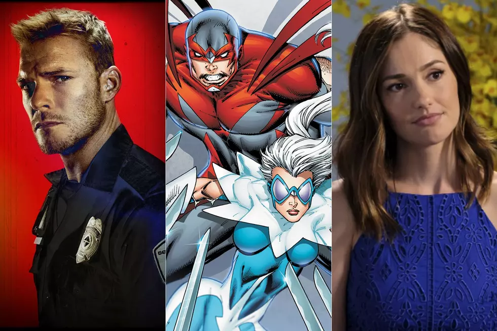 DC 'Titans' Adds Alan Ritchson, Minka Kelly as Hawk and Dove