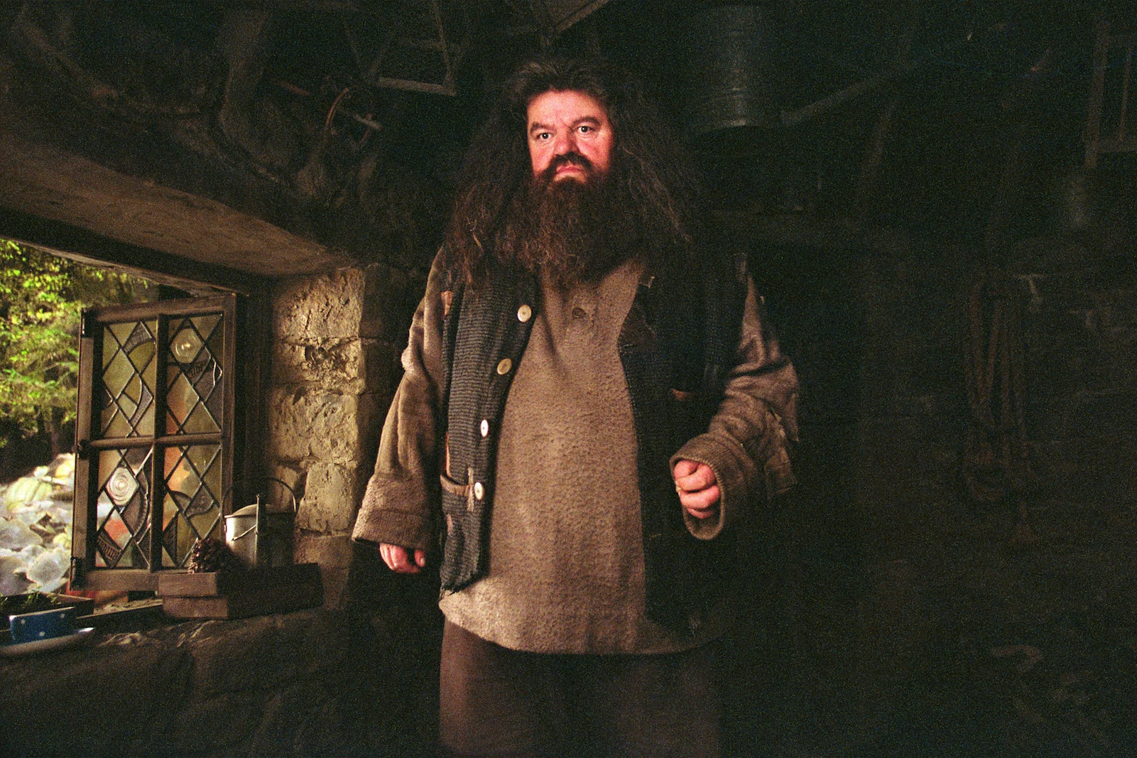 what house was hagrid in