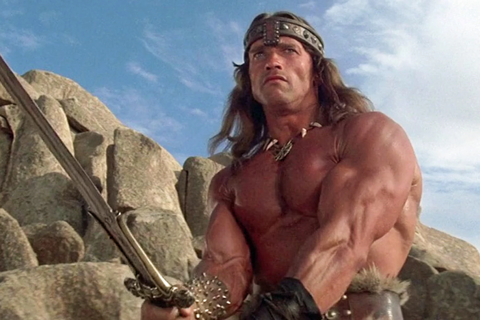 Конан новый. Конан варвар 1982. Arnold Schwarzenegger Конан.