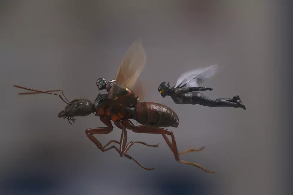 New ‘Ant-Man and the Wasp’ Teaser Hints at Answers to ‘Infinity War’s Biggest Question
