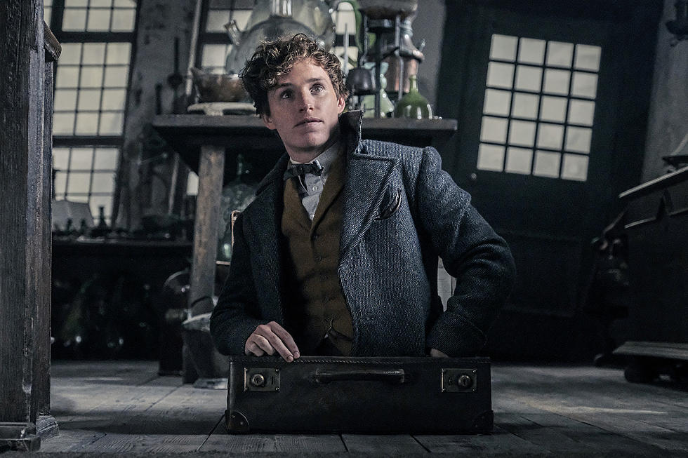 Ralph Fiennes Voldemort Porn - Review: 'Fantastic Beasts 2' Tarnishes the Legacy of Harry ...
