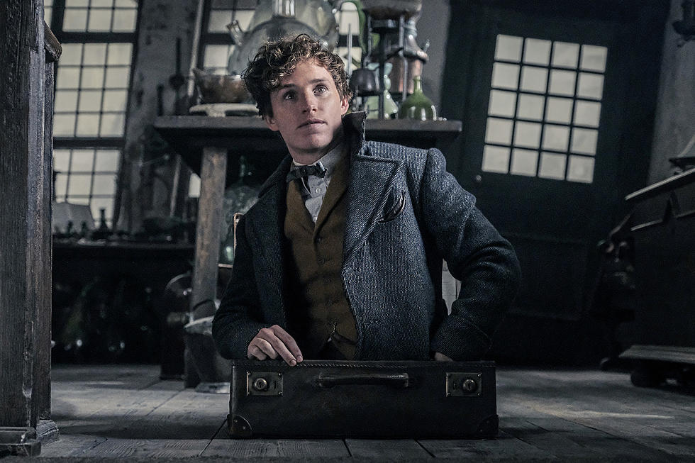 ‘Fantastic Beasts’ Franchise Is ‘Taking a Pause’