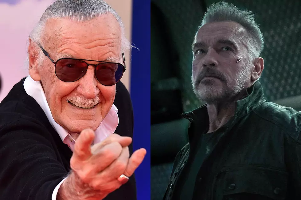 Stan Lee’s Final Project Will Be an Animated Series Starring Arnold Schwarzenegger